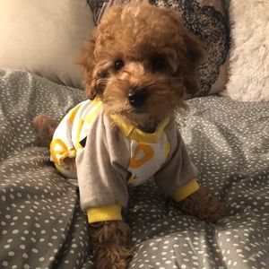 Meet your Posher, Ayumi